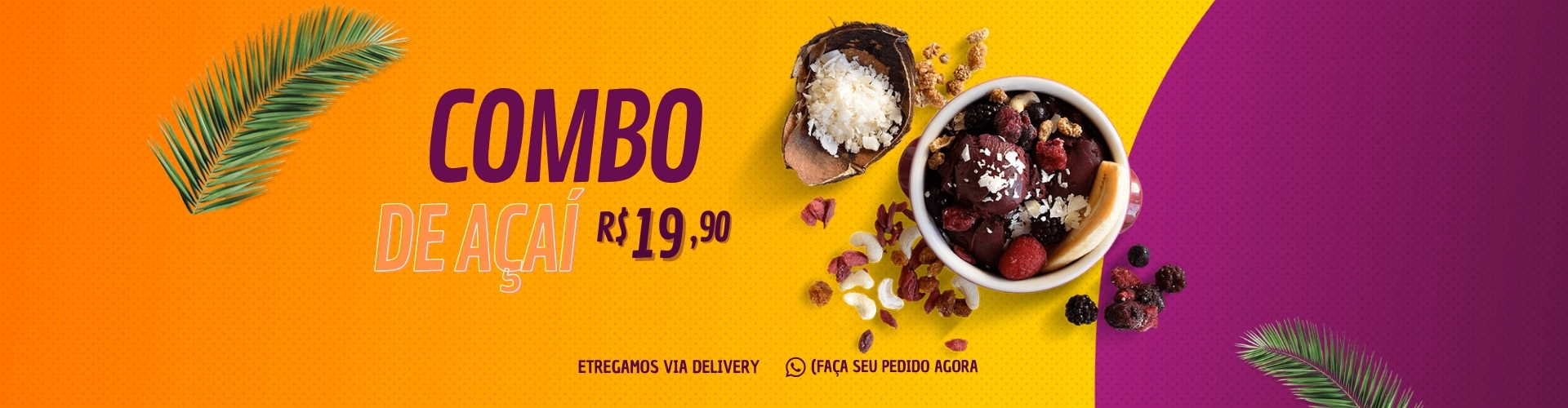 wpdelivery-banner-acaiteria-04